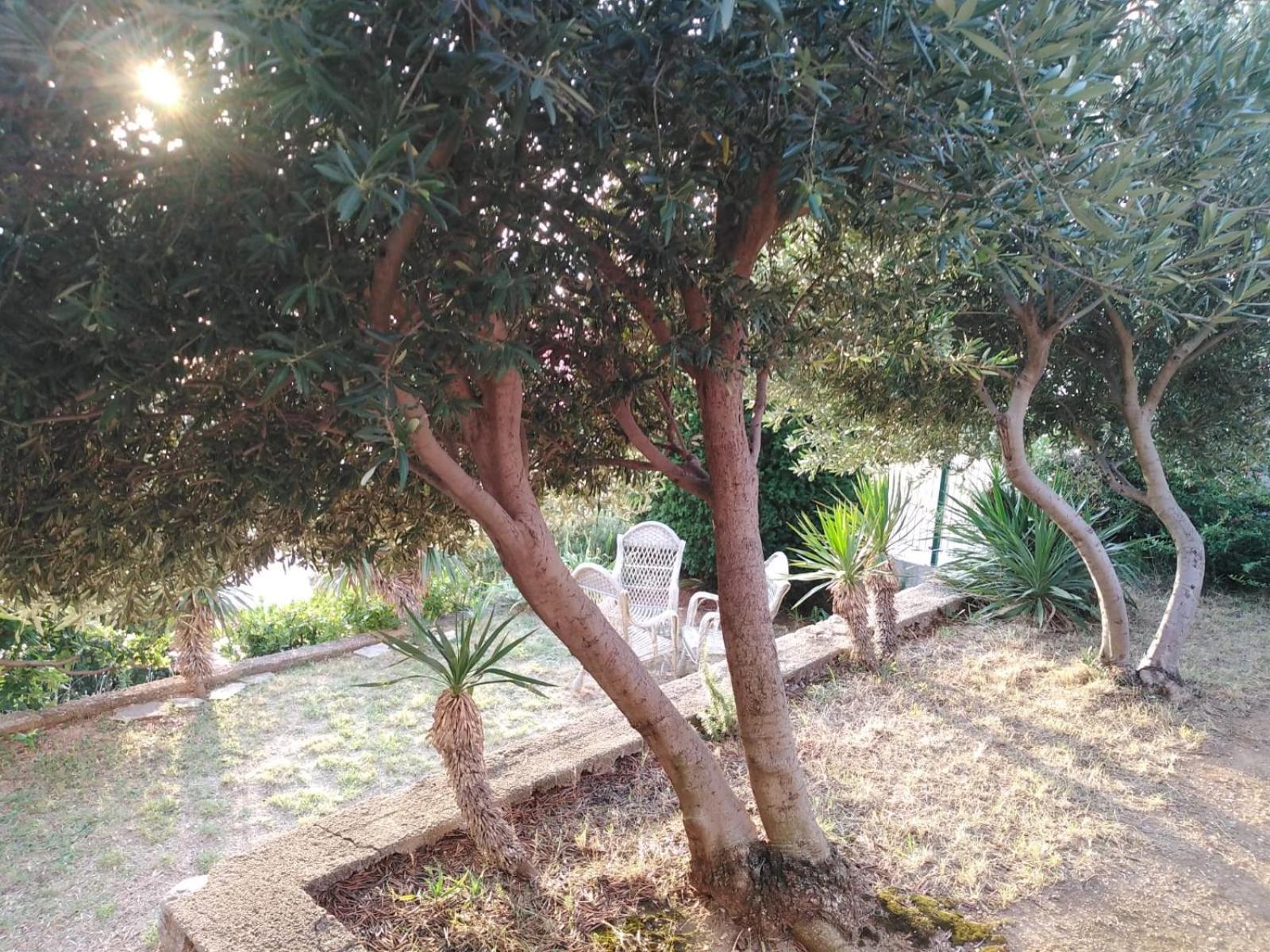 Apartment Franjo Senj  Zewnętrze zdjęcie